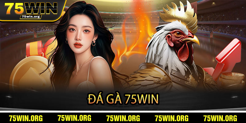 Đá Gà 75win